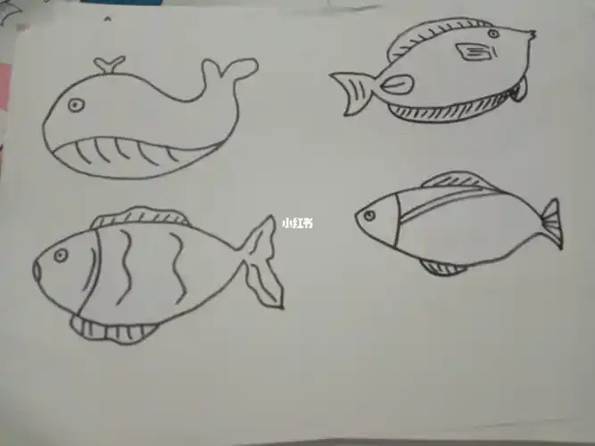 100种鱼简笔画大全