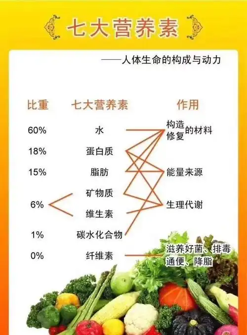 价值连城的营养早餐