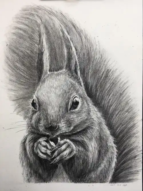 动物素描 - 堆糖,美图壁纸兴趣社区