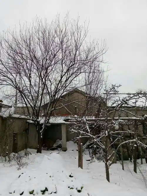 有雪无诗俗了人~春节里农村&校园的雪景随手拍