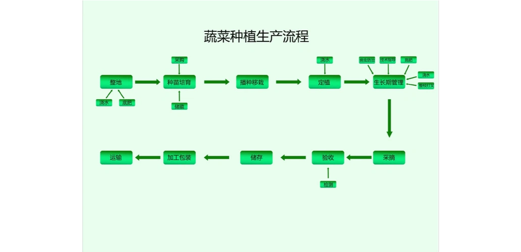 蔬菜种植生产流程图