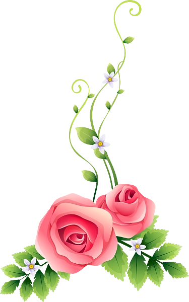 19-金印客素材库-免费图片,素材,背景下载