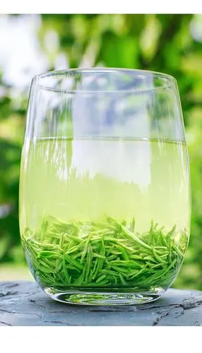 信阳毛尖信文新2018新茶茶叶绿茶高山春茶观道玉环_7折现价1280元