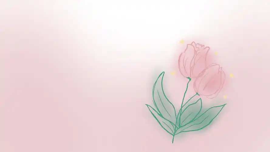 最火爆的桌面壁纸有哪些(女生专属干净的桌面壁纸)「干货分享」-小高