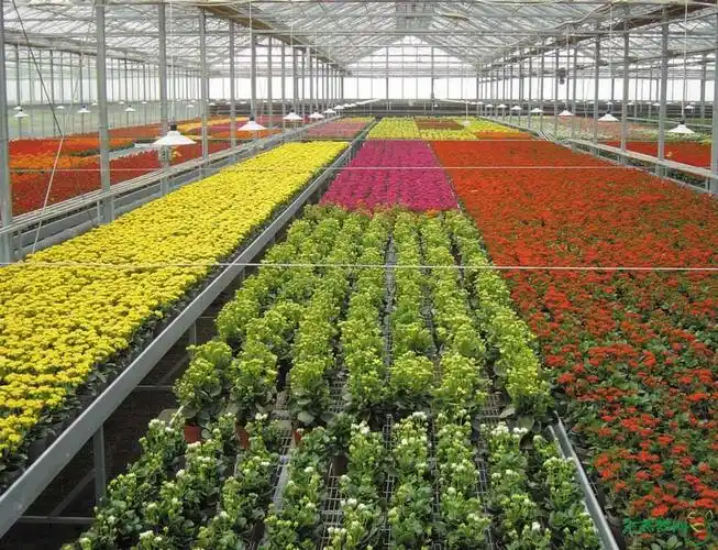 【咨询】生态城内或周边有苗圃基地吗?