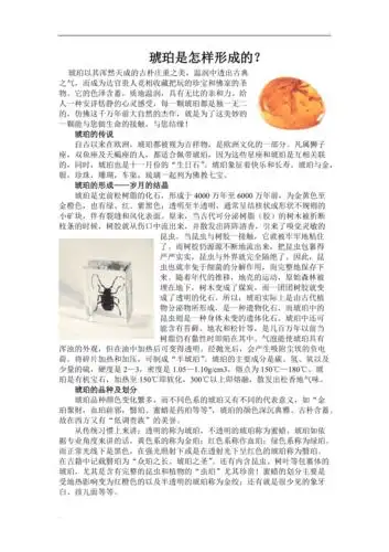 琥珀是怎样形成的