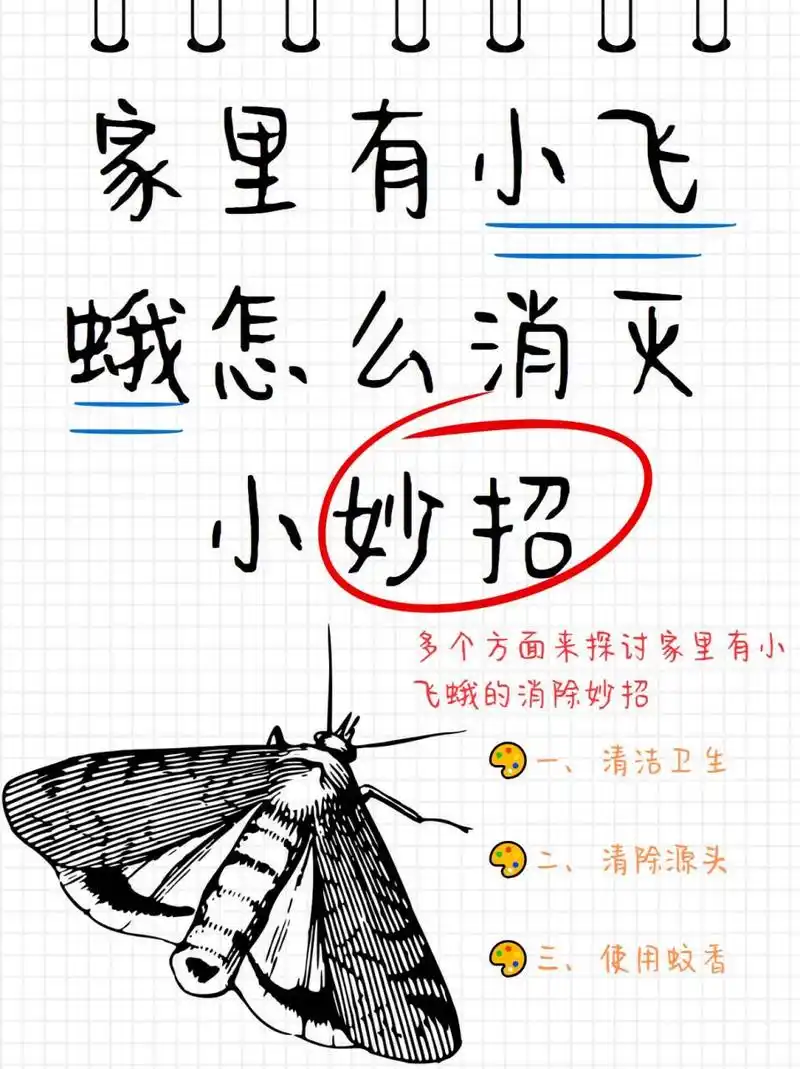家里有小飞蛾怎么消灭小妙招  亲爱的读者们,你们是否曾经在夏天的