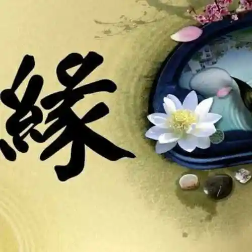 有缘才相遇相遇定有缘