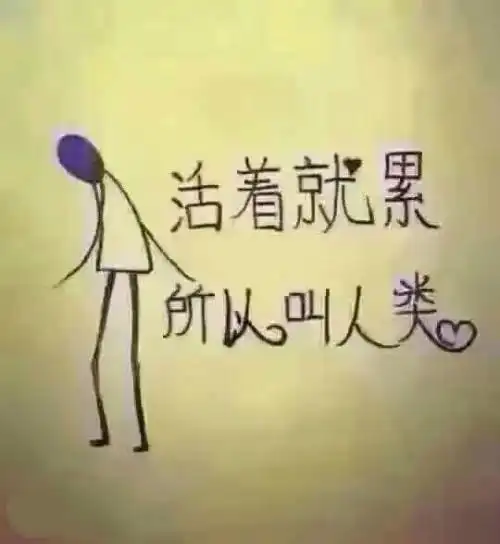 纠结,人为什么活着累呢,老板说累就对了,因为舒服是留给死人的,那老板