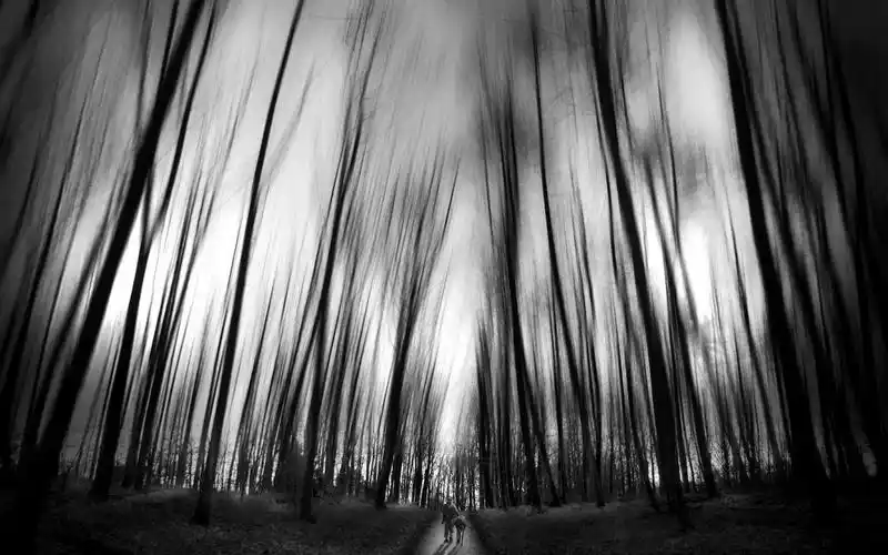 黑白伤感摄影,高清图片,电脑桌面-壁纸族