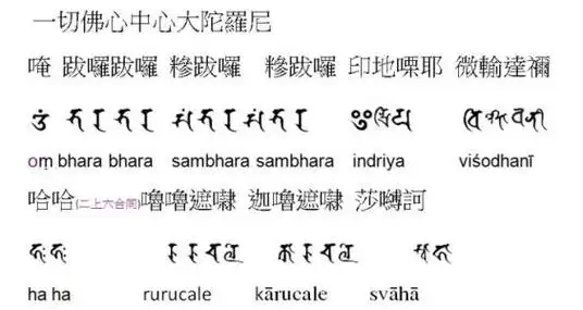 大随求陀罗尼诸本对照佛心经品亦通大随求陀罗尼什么意思作何解释