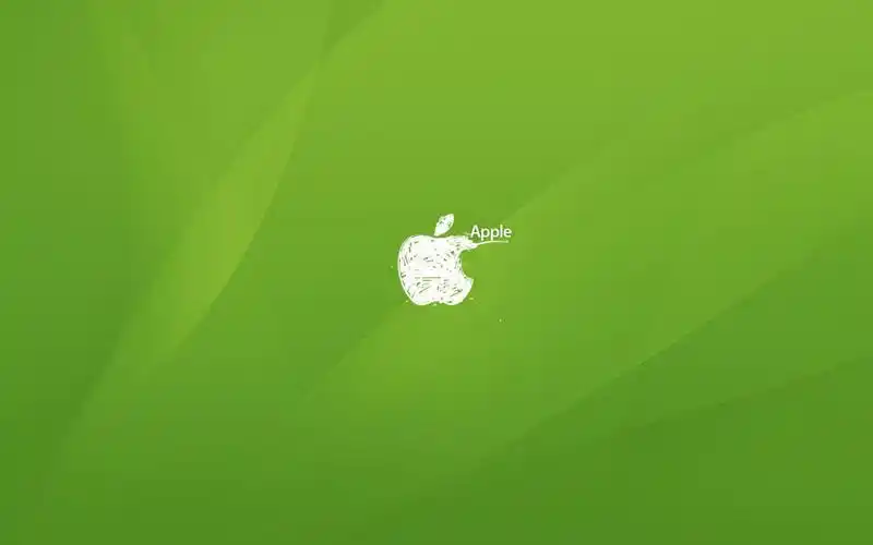 苹果在绿色背景高清桌面壁纸:宽屏:高清晰度:全屏