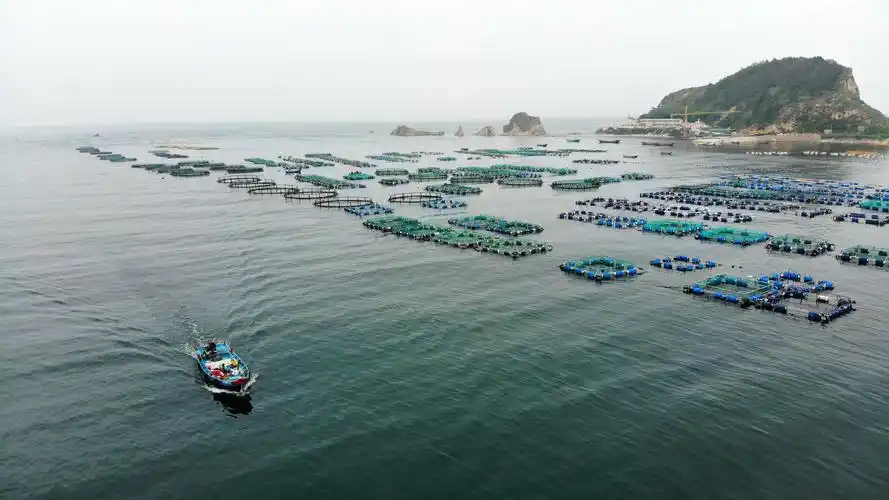 山东南隍城岛:特色海洋经济助海岛渔民致富奔小康