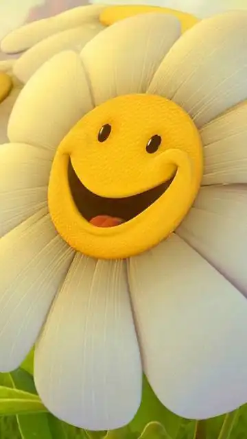 开心- 堆糖,美图壁纸兴趣社区