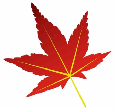 求左下角头像枫叶的大图