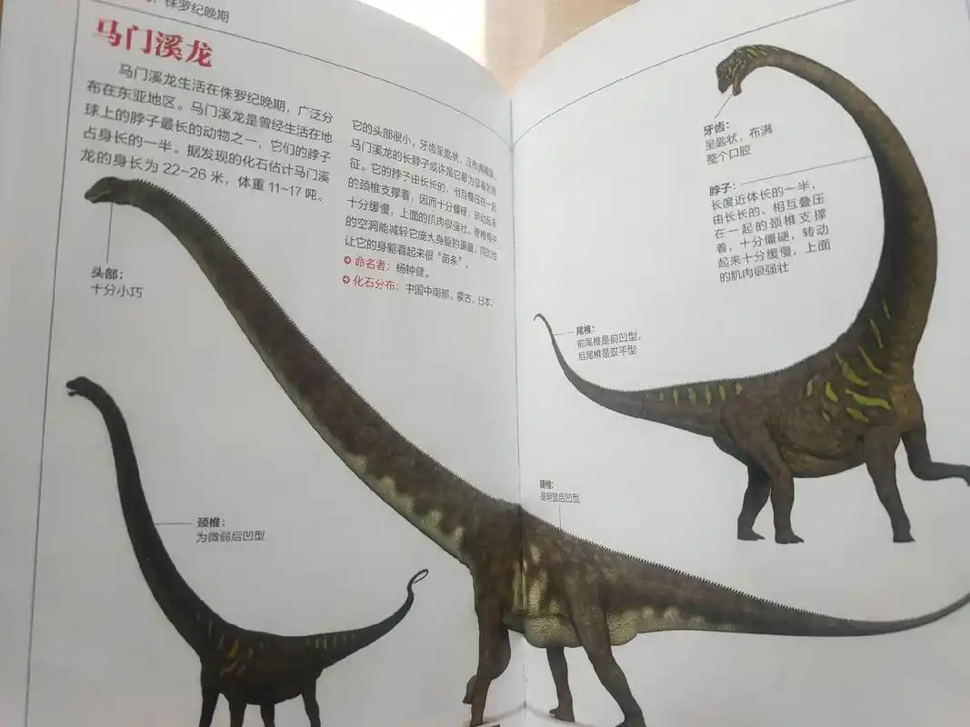 陪他看恐龙图鉴,特别喜欢脖子长长的马门溪龙,自己要画一-幅它 - 抖音