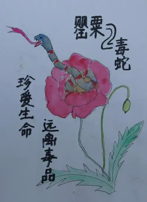 学生禁毒漫画选