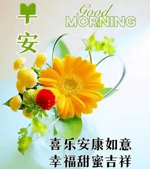 周三早上好,精选温馨早安祝福图片带字冬日问候语录,群发暖心的问候
