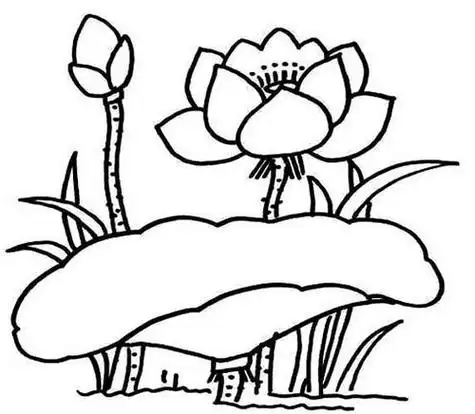 荷花池幼儿园简笔画