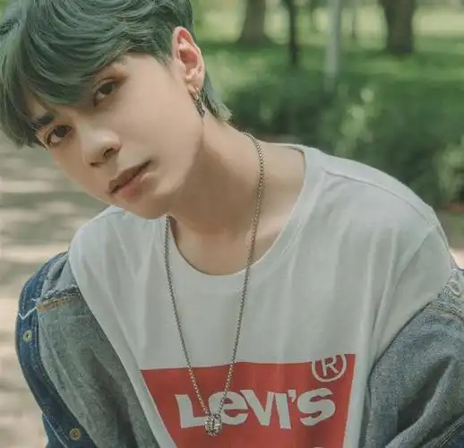 该歌曲的原唱,是越南青年男歌手quang hungmasterd(黎光雄).