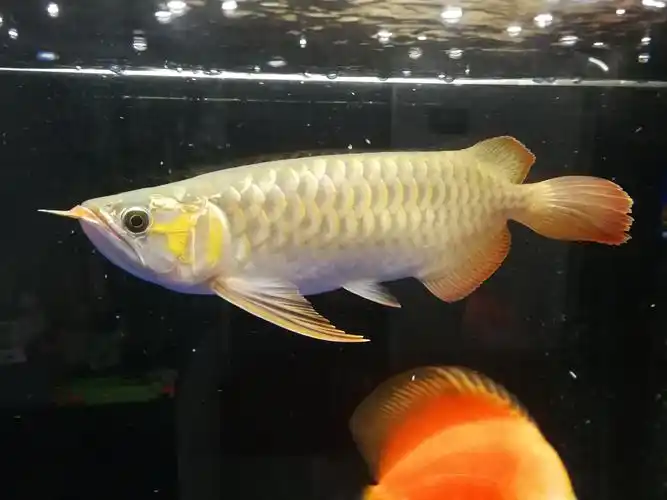 我家号半从小到现在的各个阶段图