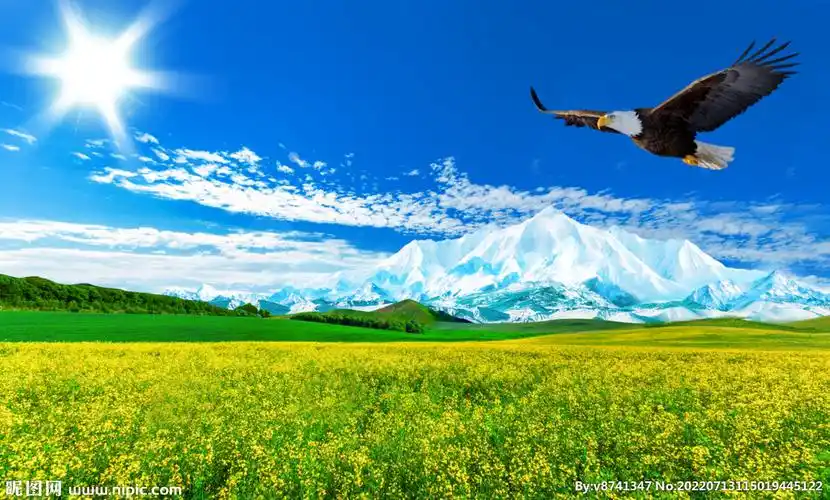 雪山下的草原设计图__背景素材_psd分层素材_设计图库_昵图网nipic.