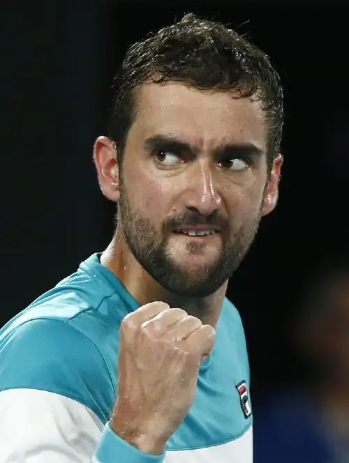 [1](外代二线)网球——澳网男单决赛:西里奇获得亚军