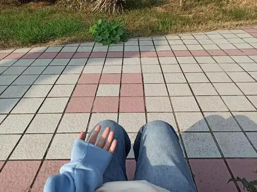 秋冬周末一个人在校园里晒太阳很快乐!