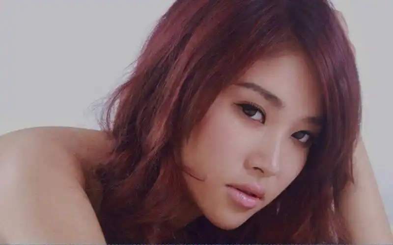 谭艳红尘有你麦丽迪胆机猛牌铜100音箱hifi试音