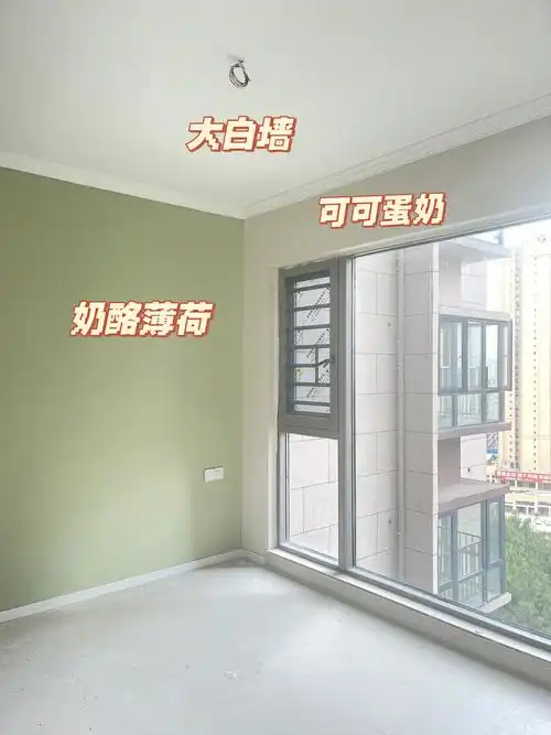 实际上墙效果也比色卡上浅一些     实物是灰紫色奶酪薄荷  好看死