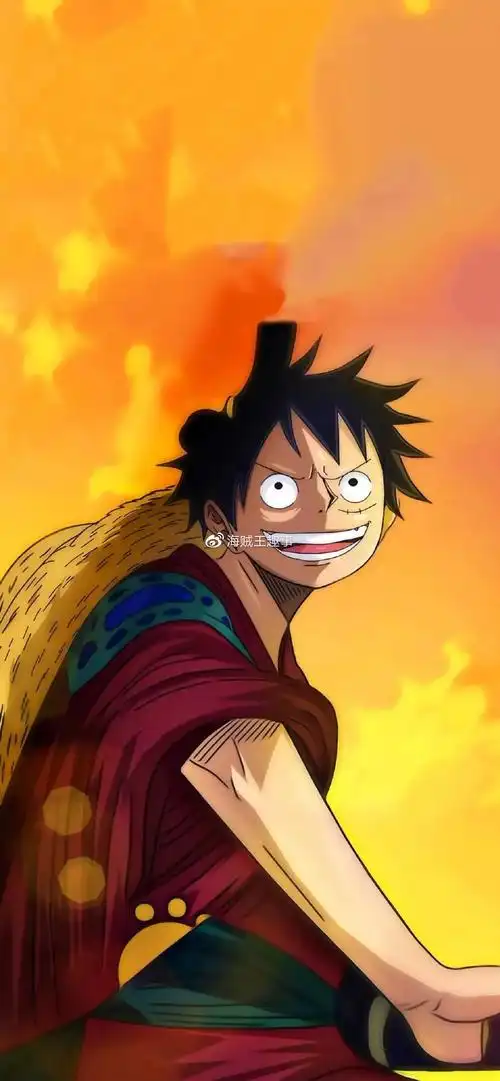 海贼王高清手机壁纸共27张总有一张是你的菜
