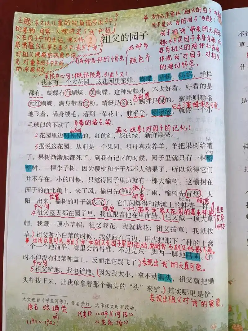 五下语文2《祖父的园子》课堂笔记 因为一个人喜欢一个园子,怀念自己