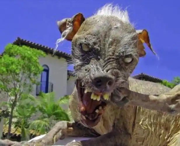 世界十大最恐怖的怪物 尼斯湖水怪真的存在吗