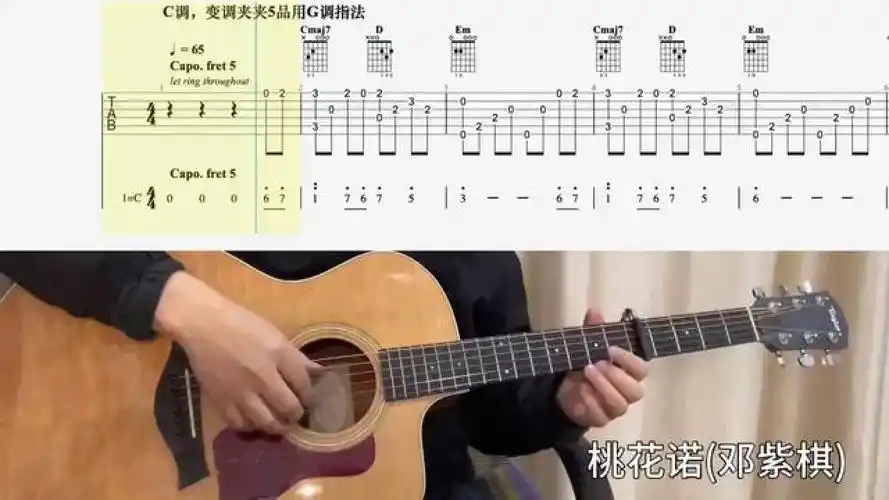 【吉他独奏慢速示范】桃花诺(邓紫棋) #零基础学吉他 #吉他谱 #吉他