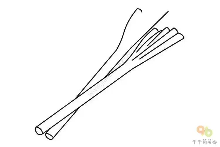 大葱简笔画如何画