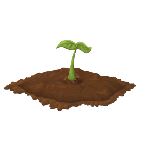 第三方检测机构