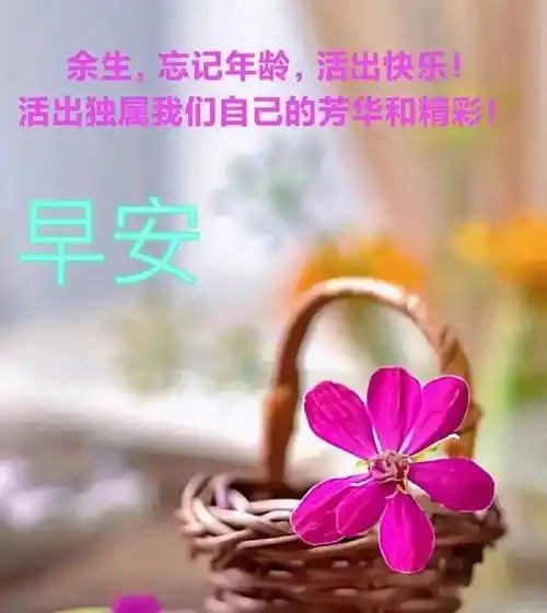 9张最新创意好看的早安早上好图片带祝福语 不用打字聊天的早上好问候