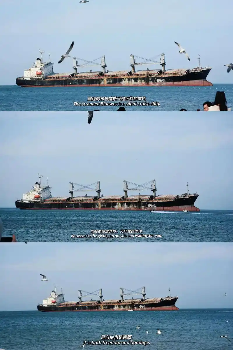 "搁浅的巨轮08 颓废的浪漫主义" 它孤独的停靠在海边 用那锈迹斑驳