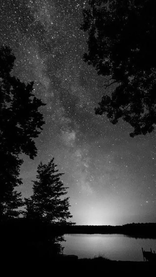 壁纸| 黑夜给了我黑色的眼睛