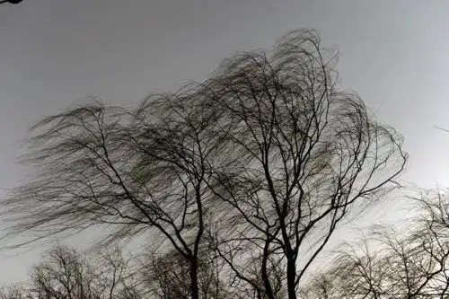 预警7级风好好的天为啥总刮大风专家这样解释