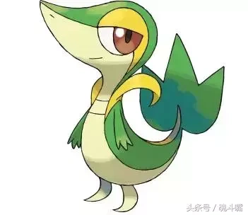 口袋妖怪木守宫几级进化(浅谈木守宫进化之路)-游戏攻略-游戏下载网