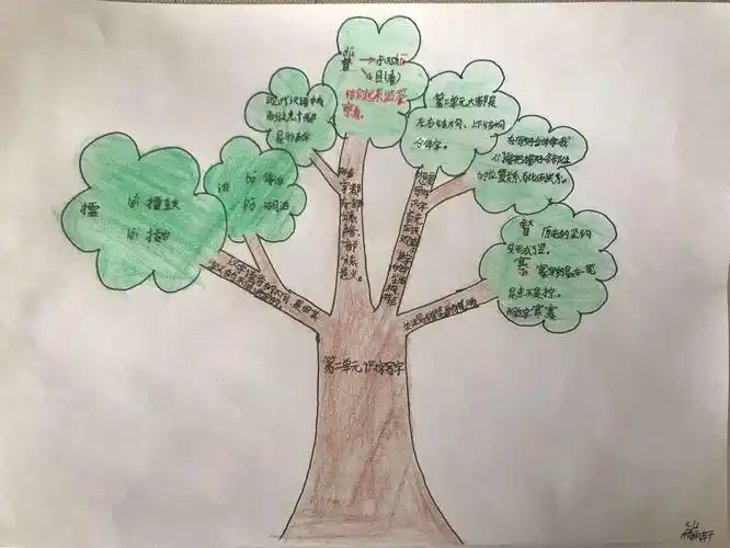成长树的思维导图,梳理我的收获,祝我成长!