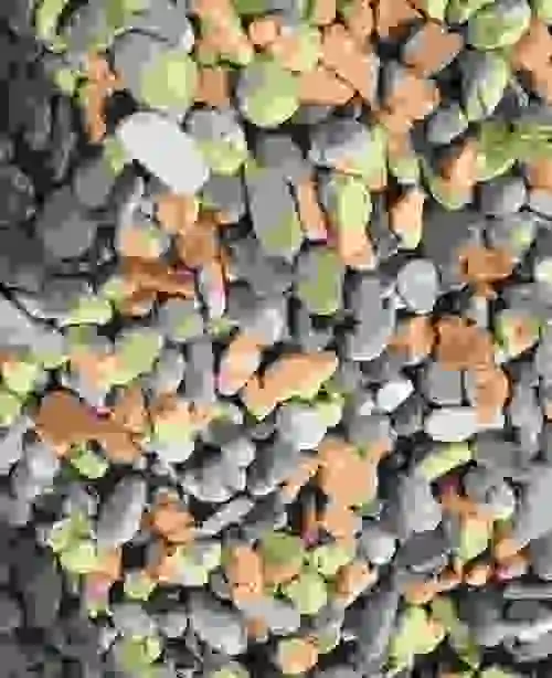 鹅卵石雨花石河卵石建筑用石子大量0