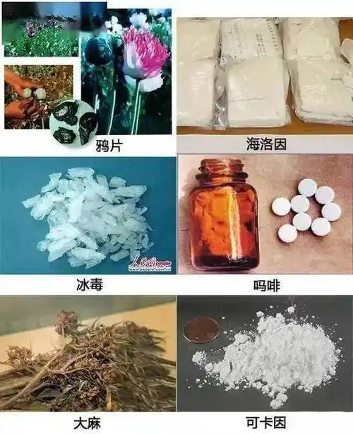 拒绝毒品远离艾滋