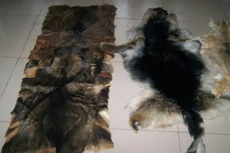 如何熟狗皮皮张