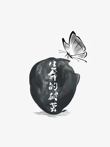 关键词 : 蝴蝶,重生,新生,破茧,生命的破茧[声明] 觅元素所有素材为