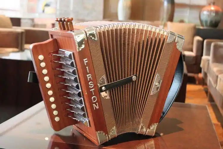 巴扬手风琴的艺术