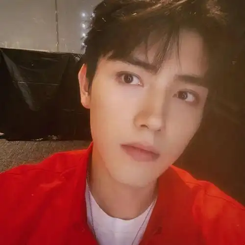 微信头像陈飞宇