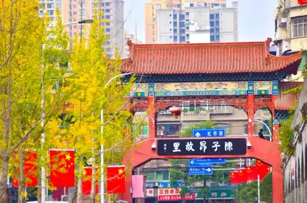 沱牌镇风水(沱牌镇人民政府)