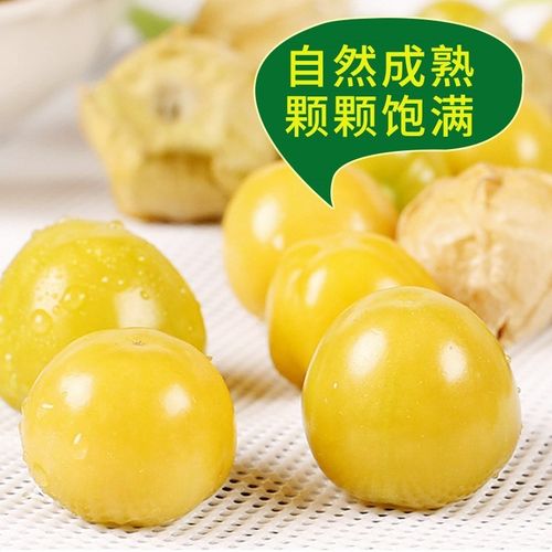 没吃过的金灯姑娘果灯笼果包邮5斤大黄菇娘洋姑娘果黑龙江